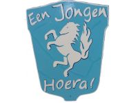 Twents Jongen schild