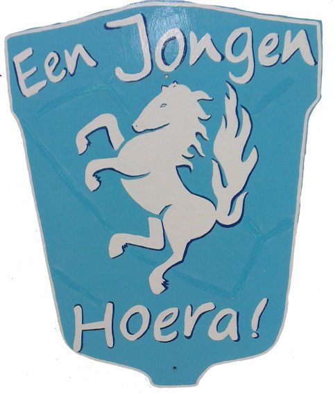 Twents Jongen schild foto