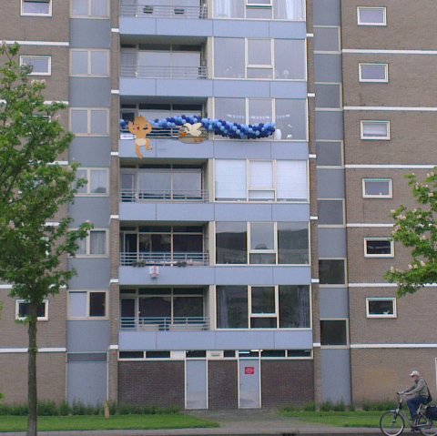 Ooievaar voor aan het balkon foto