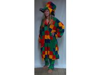 Clown geblokt felle kleuren