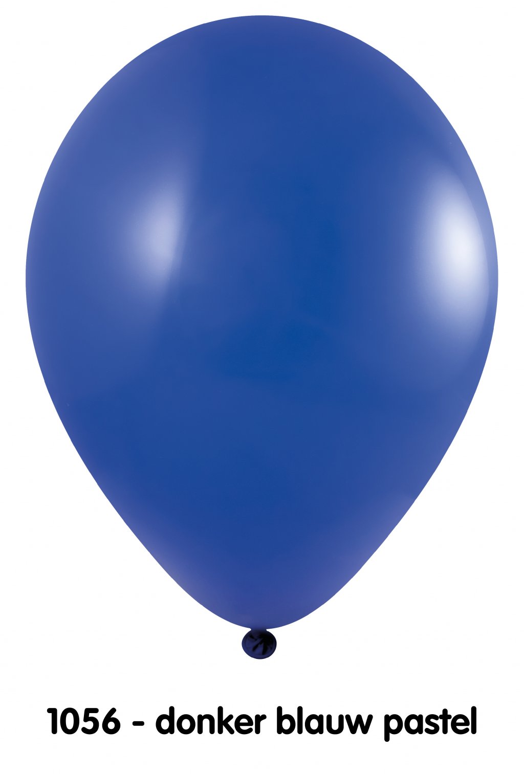 Onbedrukte ballonnen 10 st D Blauw foto