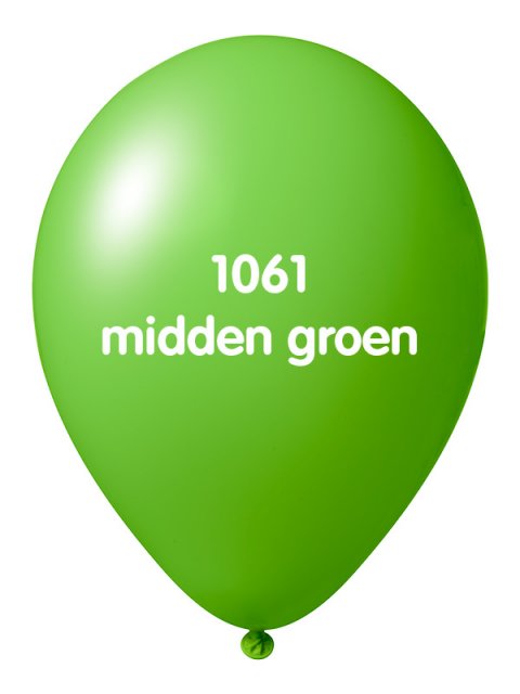 Onbedrukte ballonnen 10 st M Groen foto