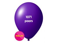 Onbedrukte ballonnen 10 st Paars