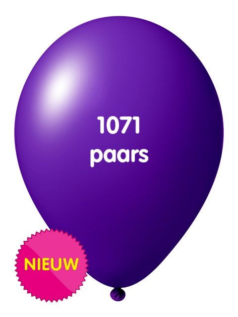 Onbedrukte ballonnen 10 st Paars foto