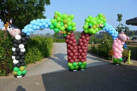 Ballonnenboog Boerderij foto