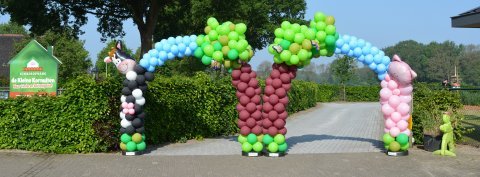 Ballonnenboog Boerderij foto