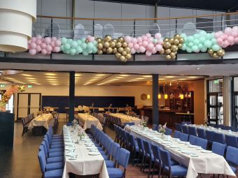 Ballonnen organic slinger chroom per mtr