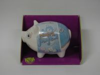 Spaarvarkens jongen
