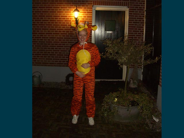 Tijgertje 182 foto